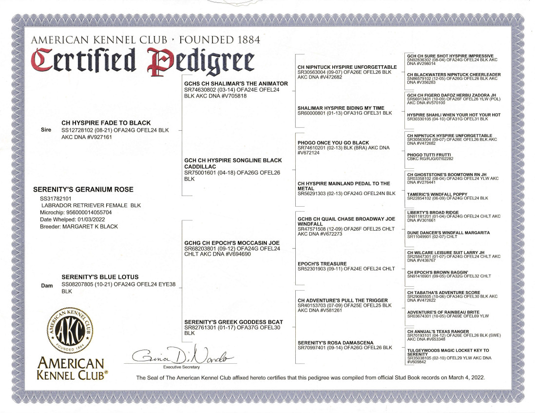 Pedigree for CH Germanium Rose (Pink)