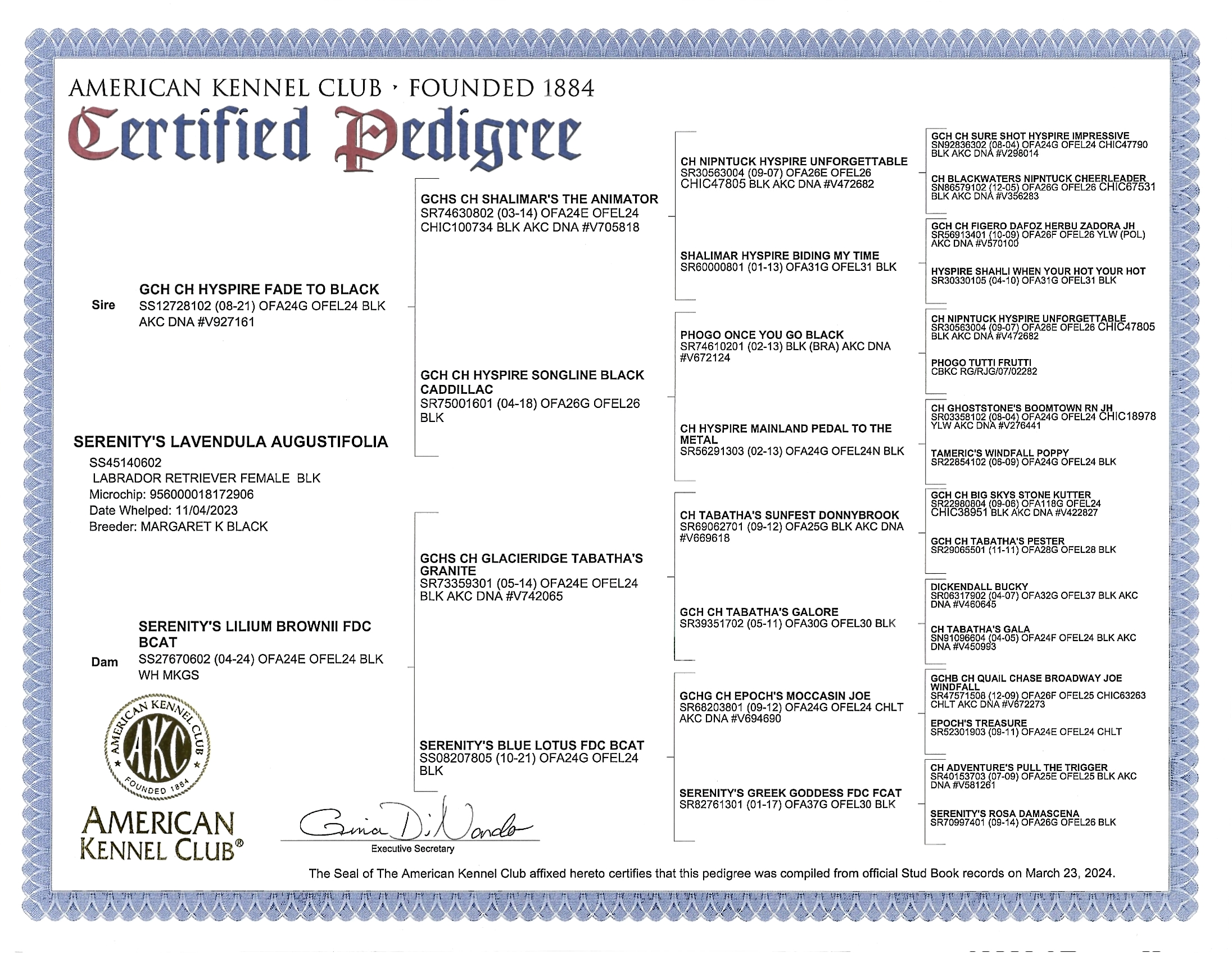 Pedigree for Lavendula Augustifolia (Lavie)