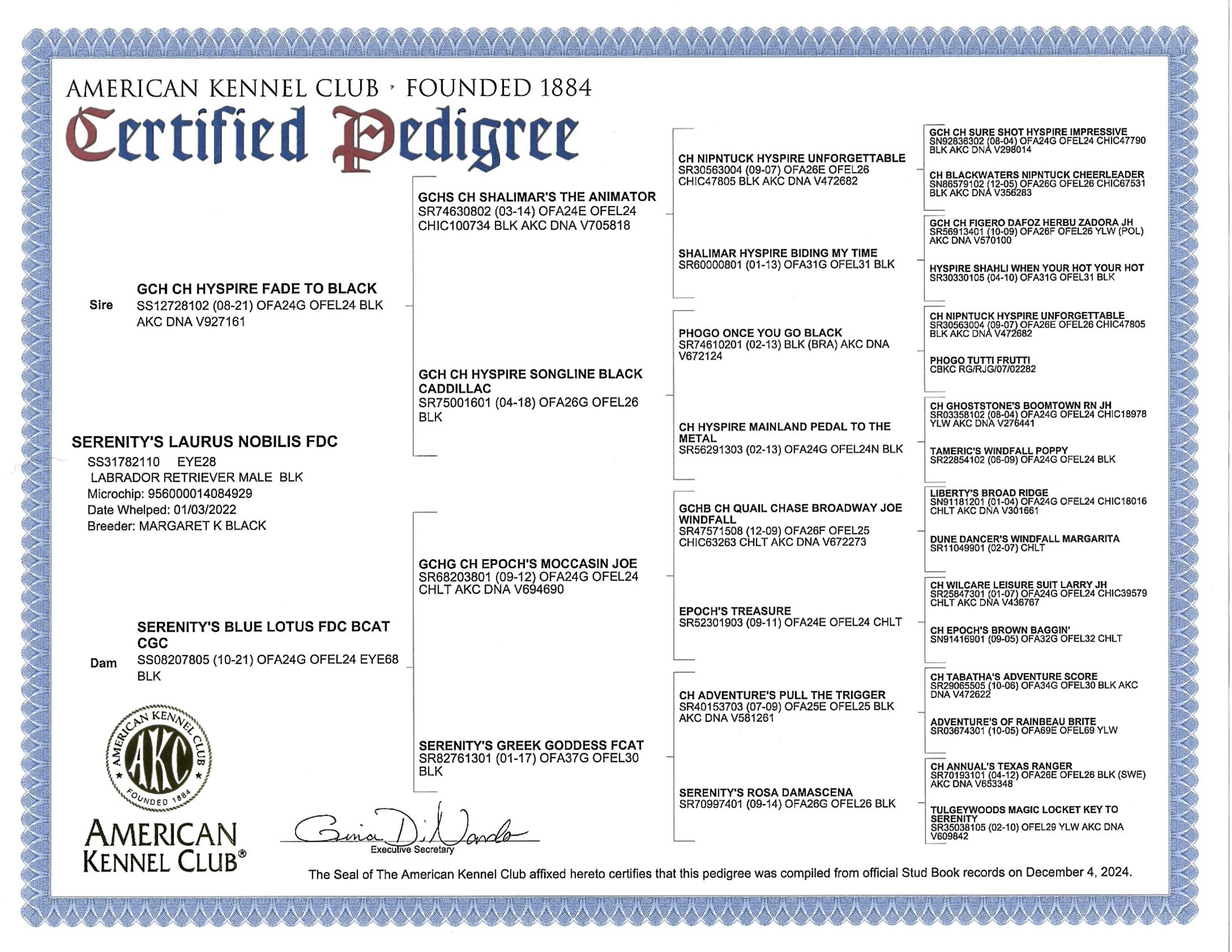 Pedigree for CH Laurus Nobilis (Laurs)