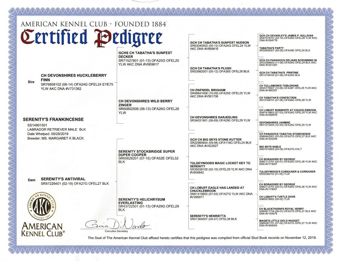Pedigree for Frankincense (Frank)