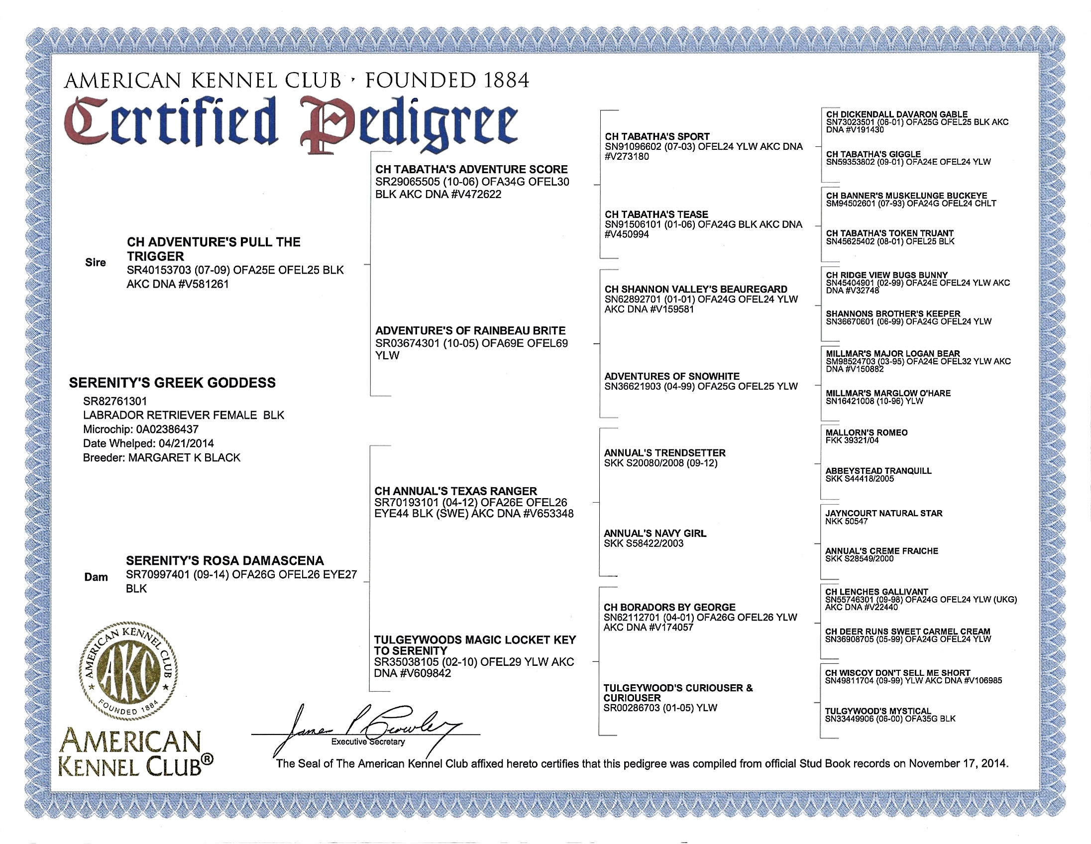 Pedigree for Greek Goddess (Iris)