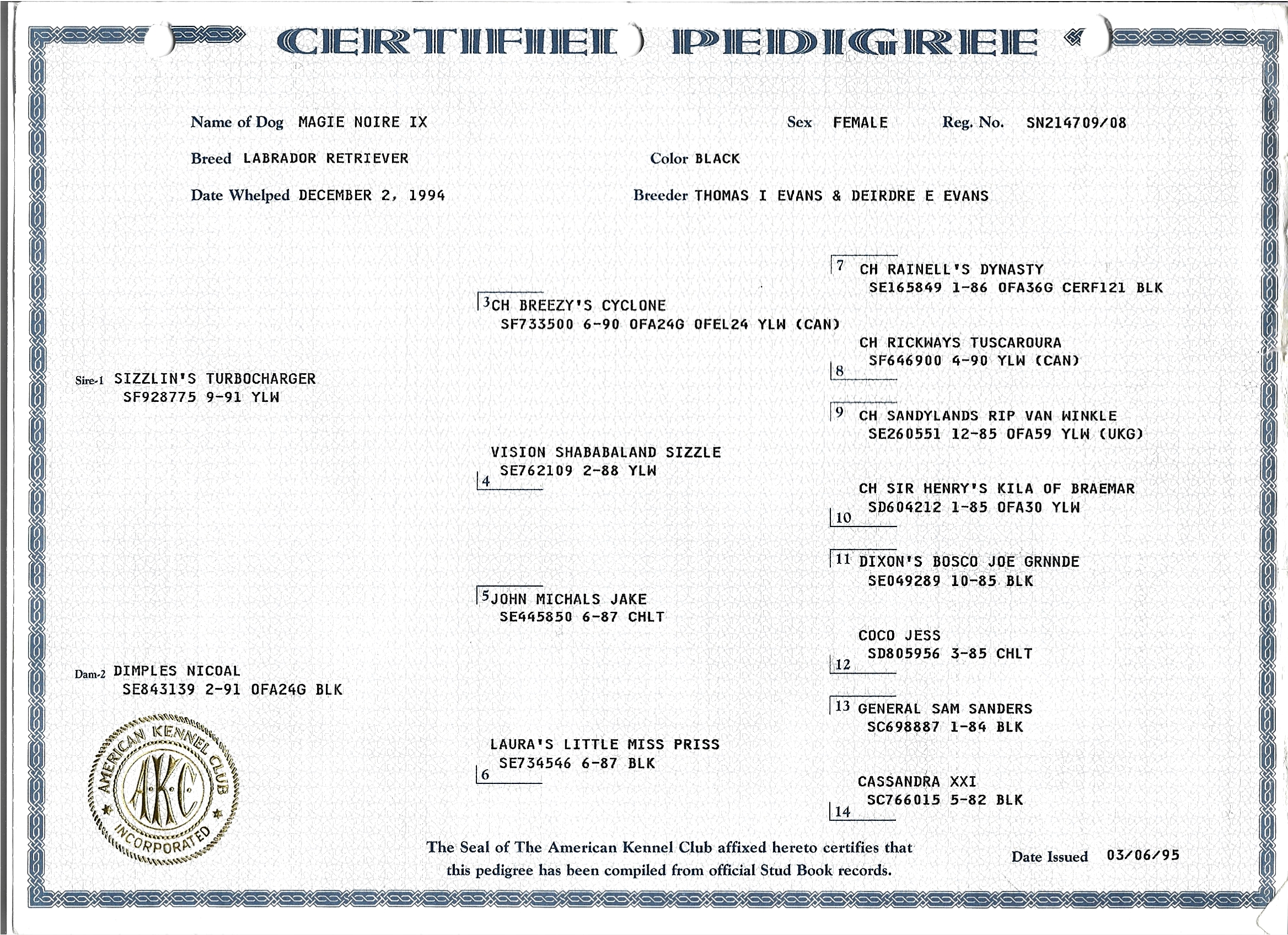 Pedigree for Magie Noire IX (Magie)