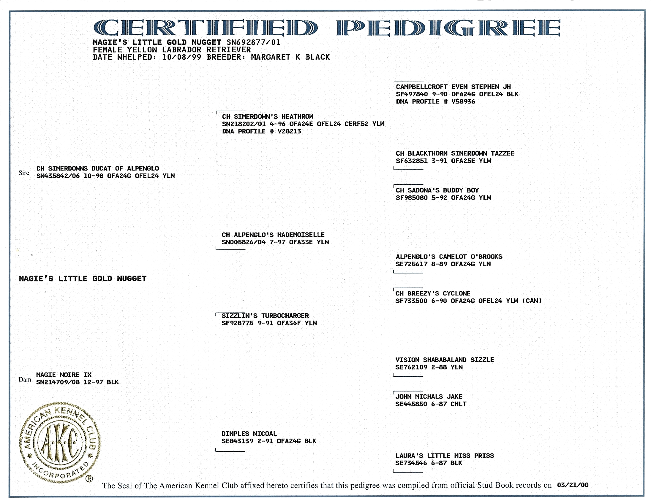 Pedigree for Magies Little Gold Nugget (Nugie)