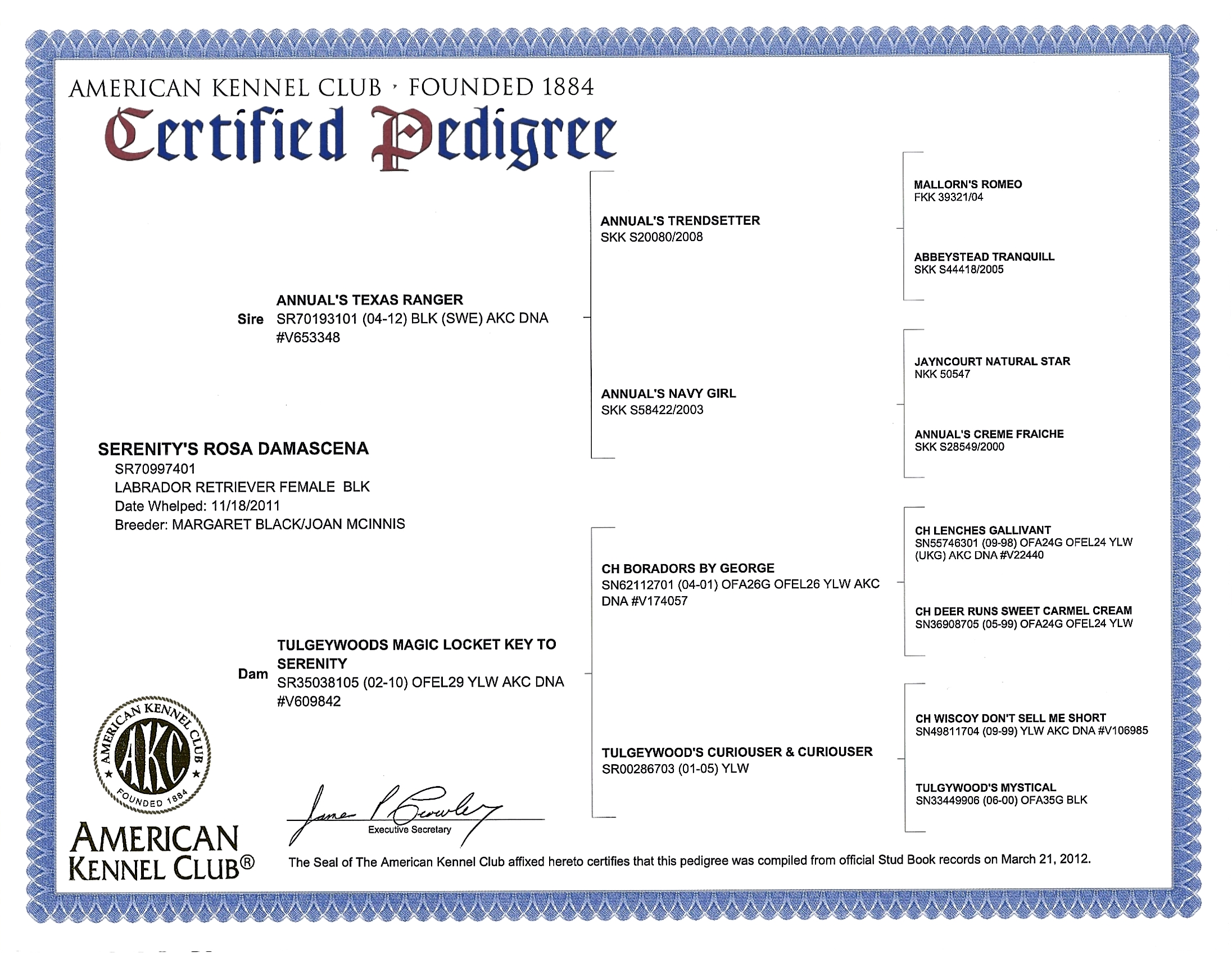 Pedigree for Serenitys Rosa Damascena (Rosie)